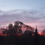 Lejlighed Fewo-hierundjetzt Bei Sebnitz Am Malerweg Lichtenhain (Sebnitz)