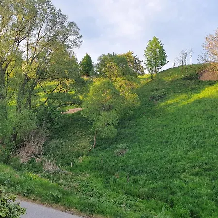 Fewo-hierundjetzt Bei Sebnitz Am Malerweg 아파트 리흐텐하인