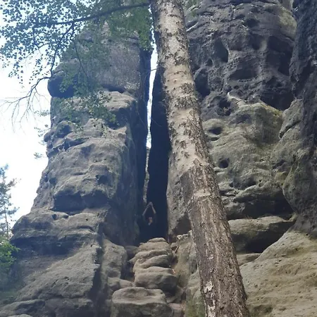아파트 Fewo-hierundjetzt Bei Sebnitz Am Malerweg 리흐텐하인