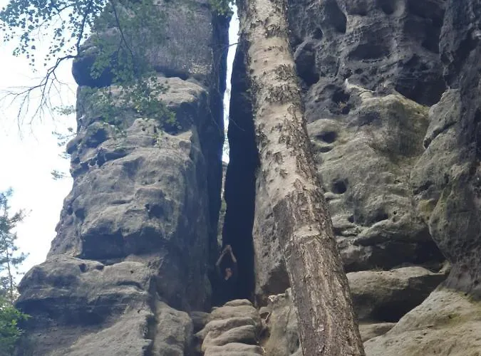 公寓 Fewo-hierundjetzt Bei Sebnitz Am Malerweg 利希滕海恩